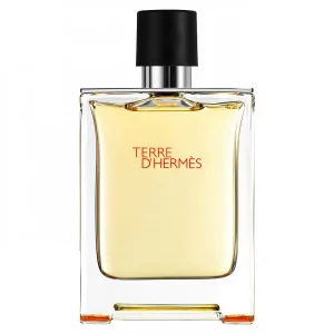 HERMÈS Terre d'Hermès Eau de toilette 100 ML